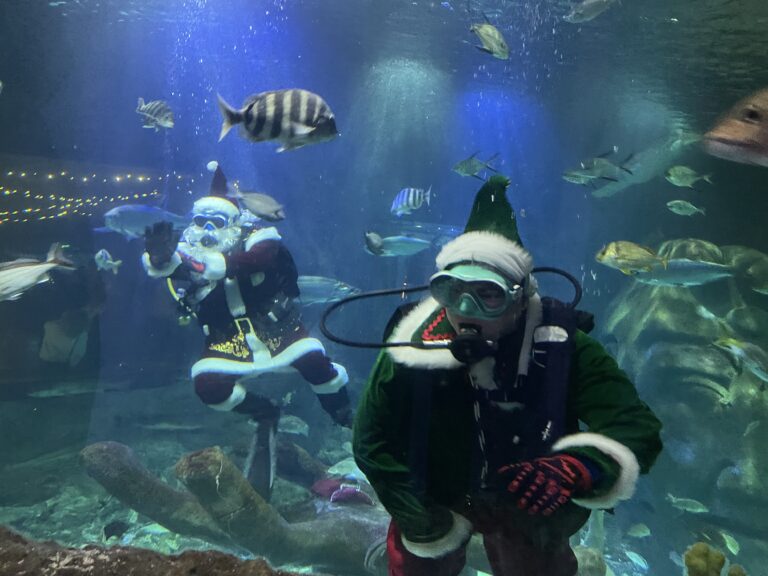 Scuba Diving Santa arrives at Sea Life Orlando for the holidays