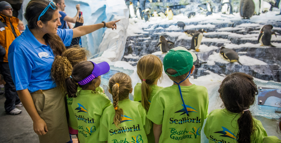 seaworld kids camps