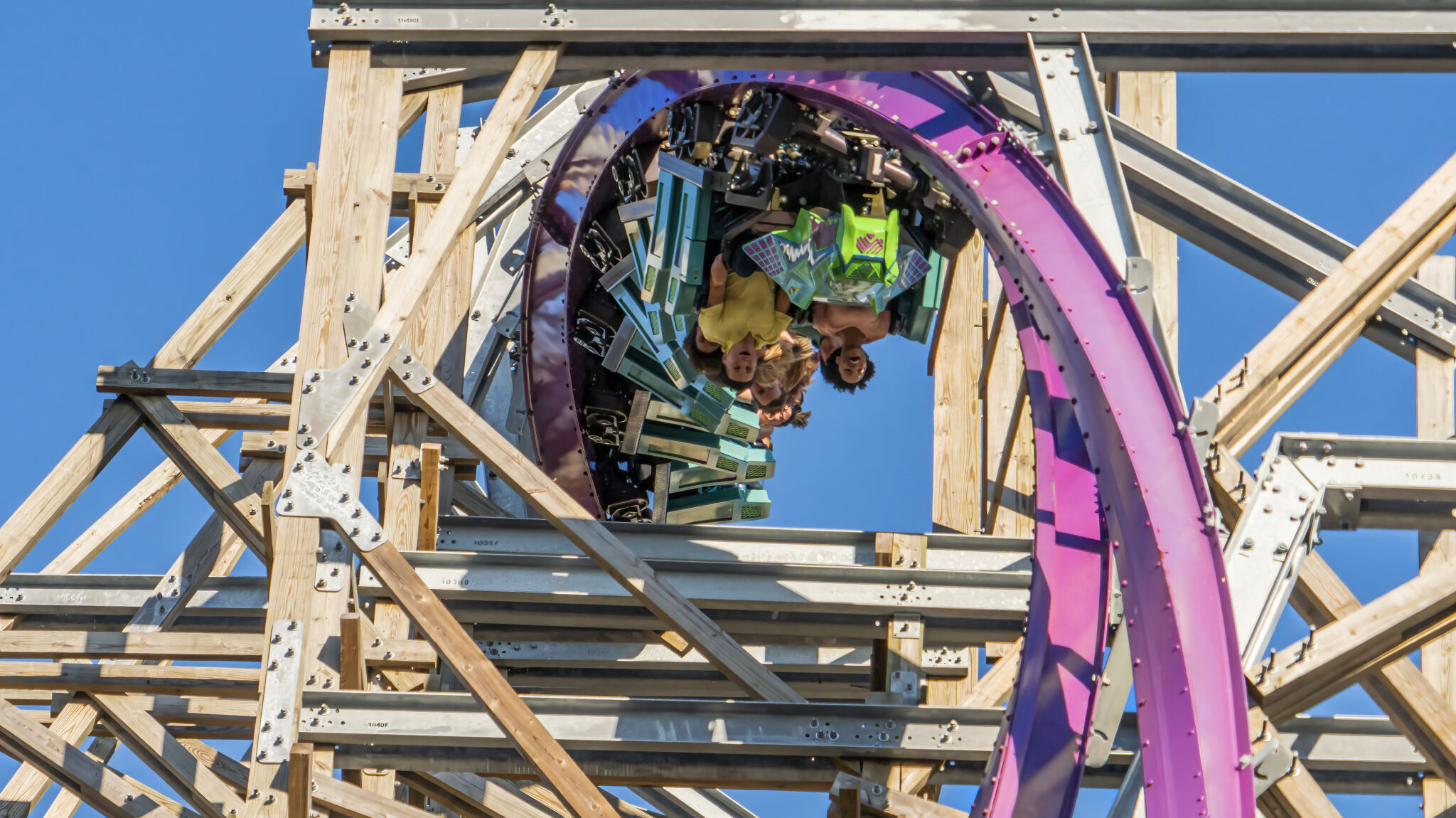 Iron Gwazi gets opening date at Busch Gardens Tampa Bay