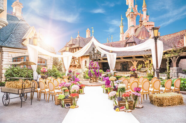 Disney Fairy Tale wedding