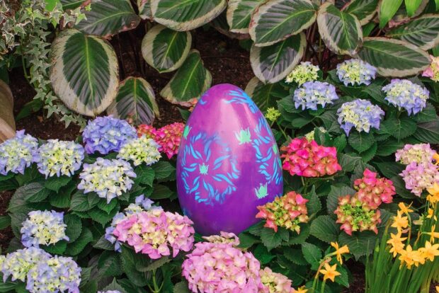Easter egg at Once Upon A Spring