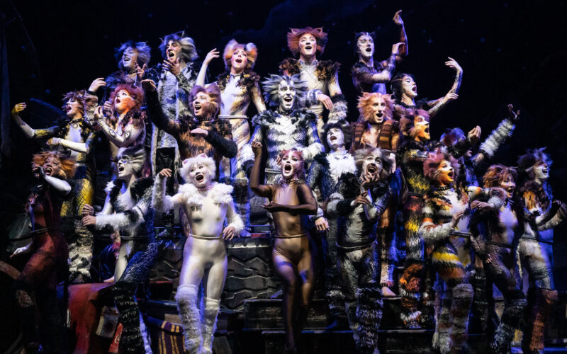 "Cats the Musical" 2021-2022 cast.