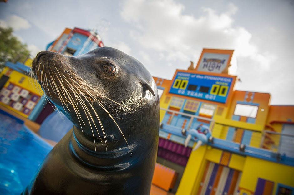 clyde & seamore's sea lion high