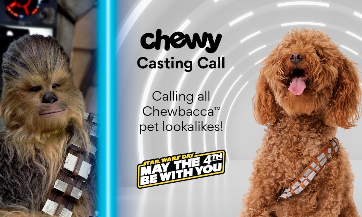 Chewy - Chewbacca pet lookalikes