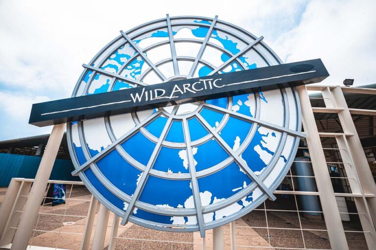 Meet the residents of Wild Arctic at SeaWorld San Diego during the exhibit’s 25th anniversary celebration