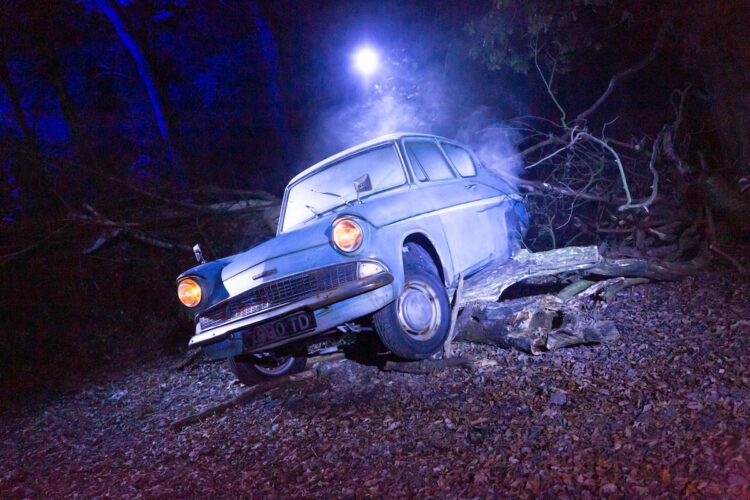 Harry Potter: A Forbidden Forest Experience - Ford Anglia