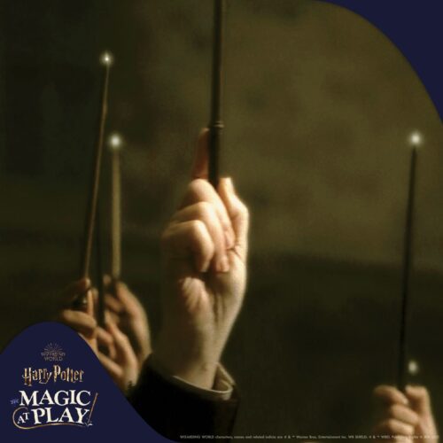 Harry Potter: Magic at Play - Wands