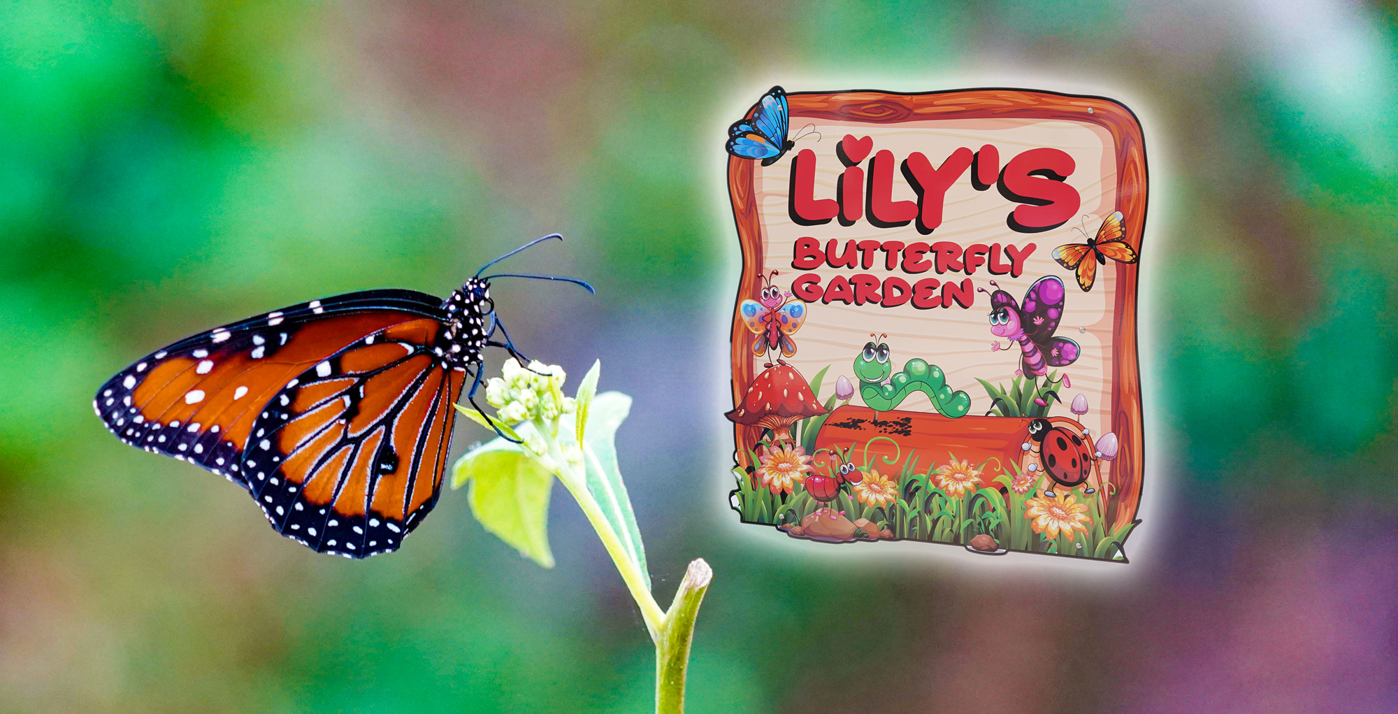Boggy Creek's new Butterfly Garden provides Florida ecotourism
