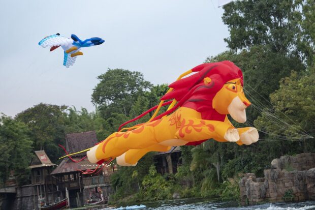 Disney Kite Tails - Lion King