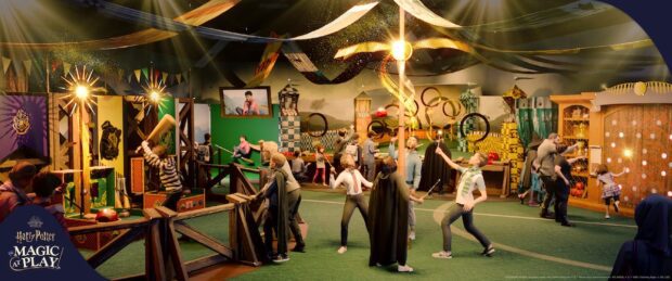 Harry Potter: Magic at Play Quidditch
