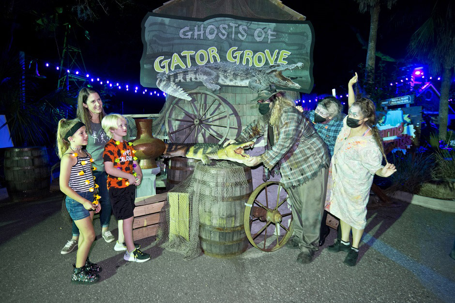 creatures of the night gator grove