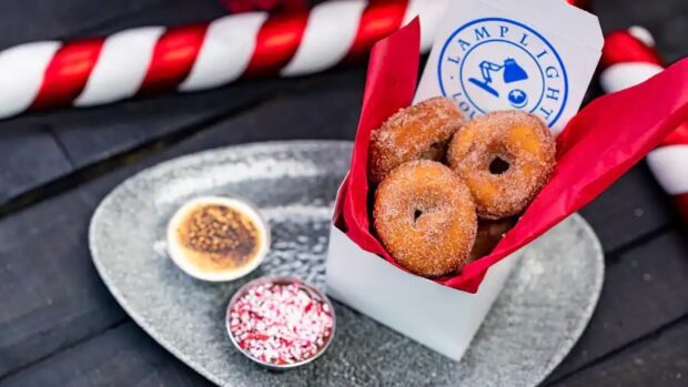 Disneyland holidays - Peppermint Donuts