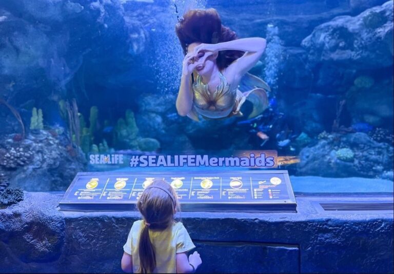 Sea Life Orlando mermaids are back 