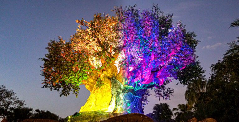 New ‘Avatar: The Way of Water’ projection show at Disney’s Animal Kingdom