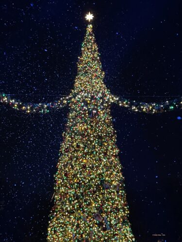 disneyland christmas tree
