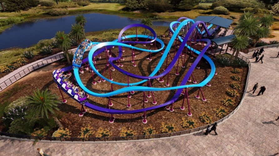 Six Flags Fiesta
