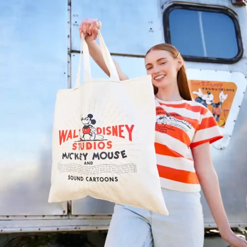 Walt Disney Studios logo showcased on a bag