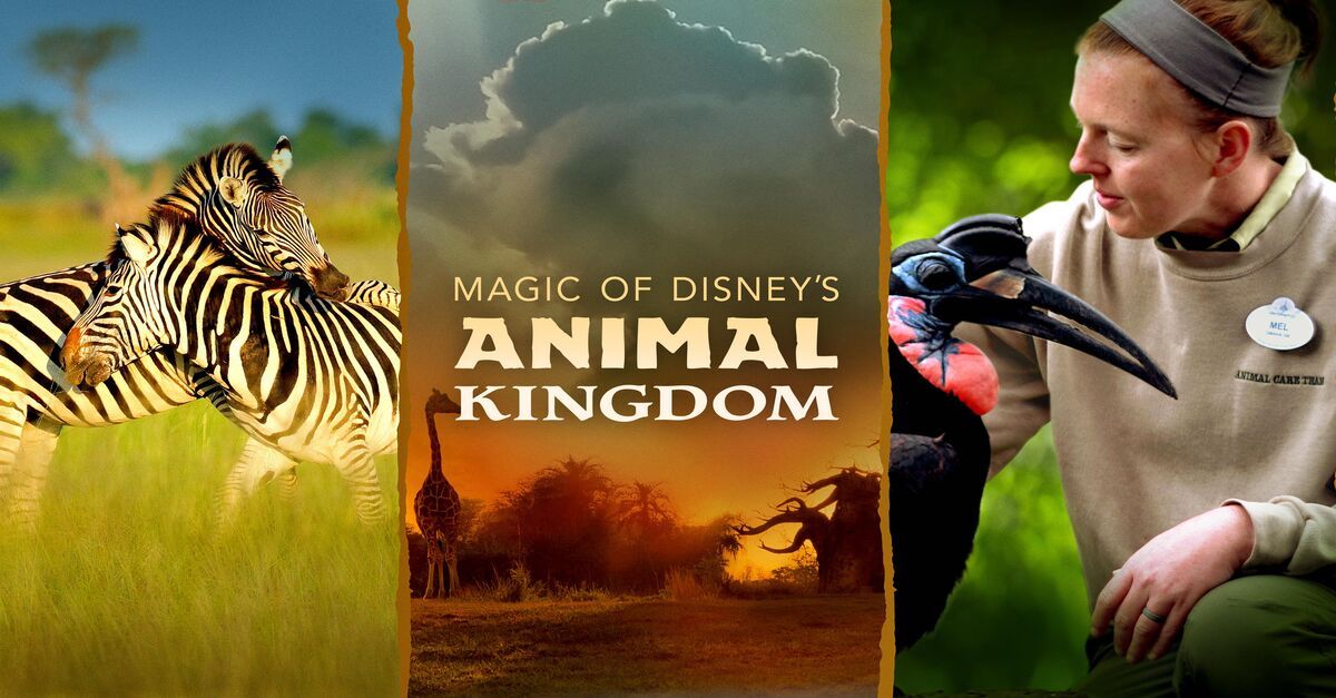 "The Magic of Disney's Animal Kingdom"