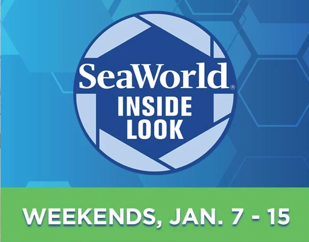 SeaWorld Orlando Inside Look 