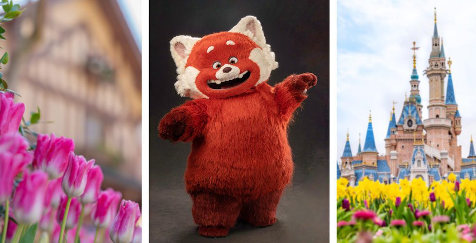 Mei Lee, the Red Panda, debuts this spring at Shanghai Disneyland. 