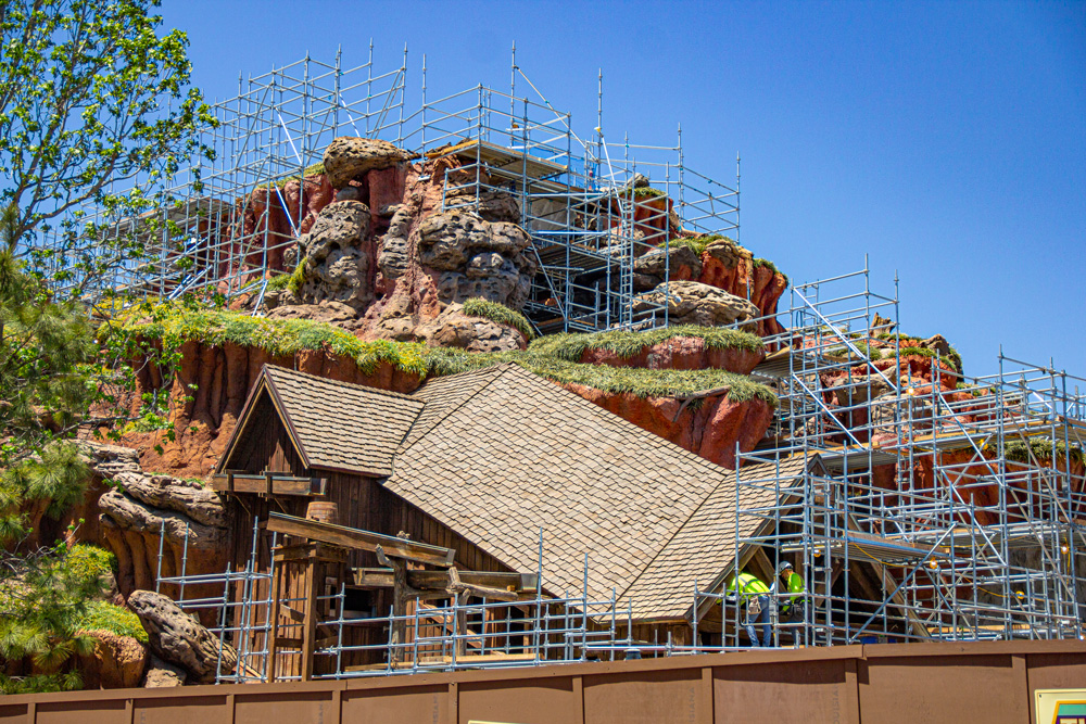 Splash Mountain demolition removes Chickapin Hill tree stump