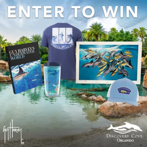 Discovery Cove summer giveaway package from Guy Harvey