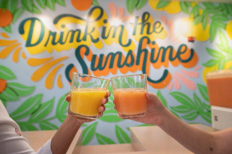 Drink In The Sunshine mural at the Florida Welcome Center