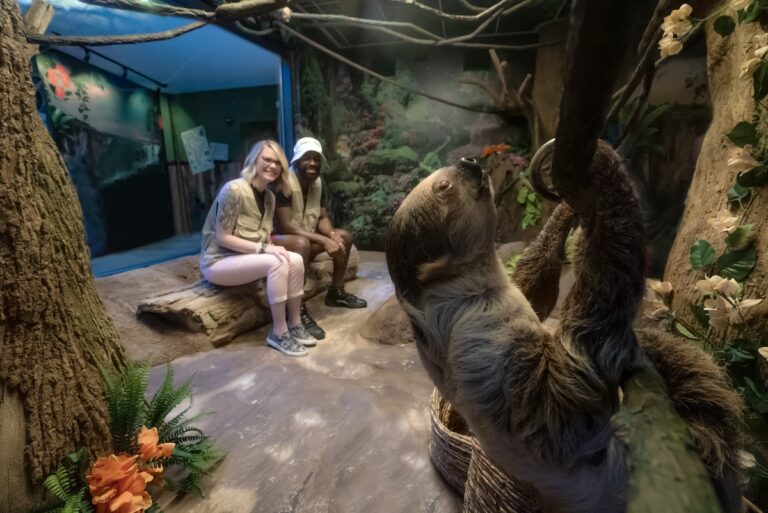 All-new Sloth Valley habitat now open at Ripley’s Aquarium of Myrtle Beach