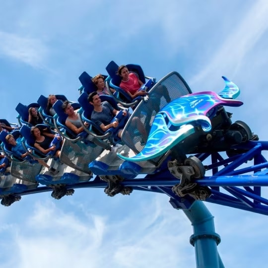 SeaWorld Abu Dhabi celebrates its grand opening