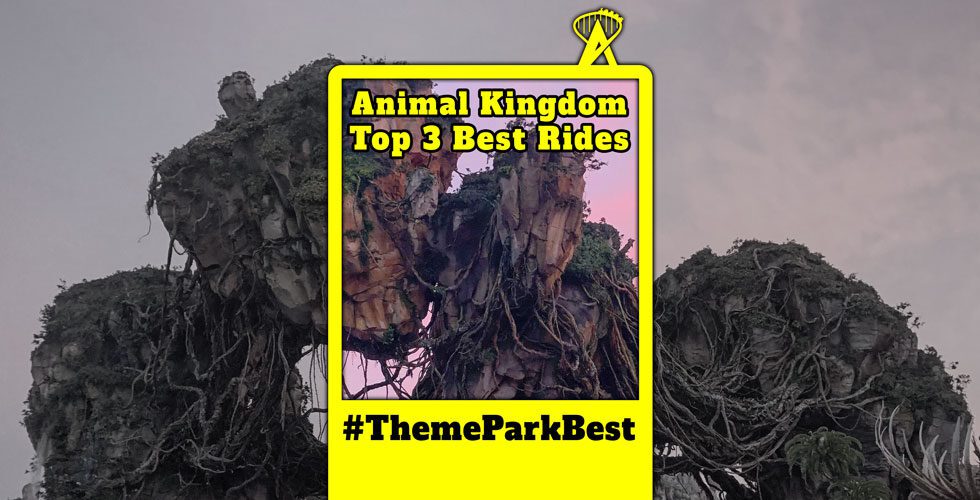 We asked, you answered, the top 3 rides at Disney's Animal kingdom.