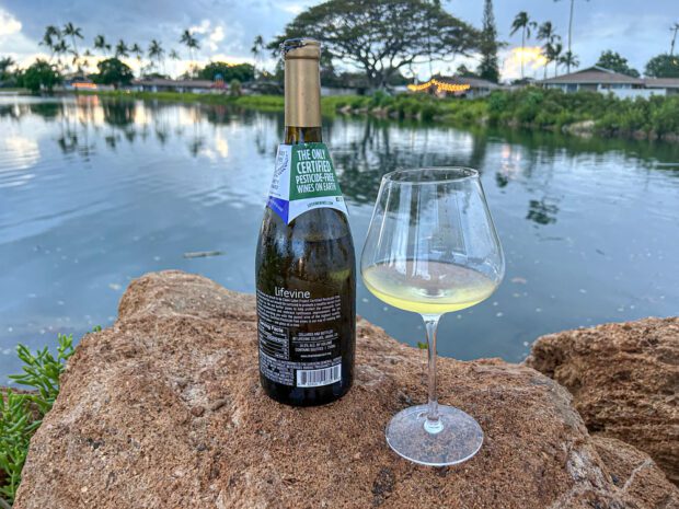 Lifevine, a healthy wine alternative for a Hawaii picnic.