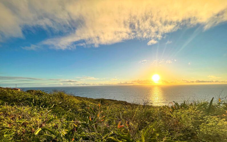 The best places for a picnic in O'ahu Hawaii, according to a local