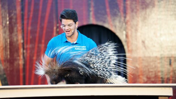Feathers, Scales & Rescue Tales at SeaWorld San Diego