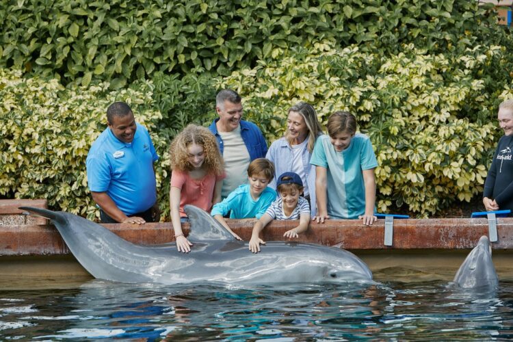 SeaWorld Ultimate VIP Tour