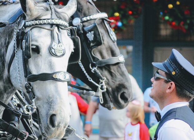 Horses on Main Street USA at Magic Kingdom