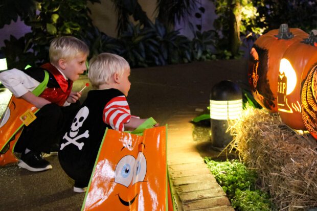 Trick-or-treating at Gaylord Palms