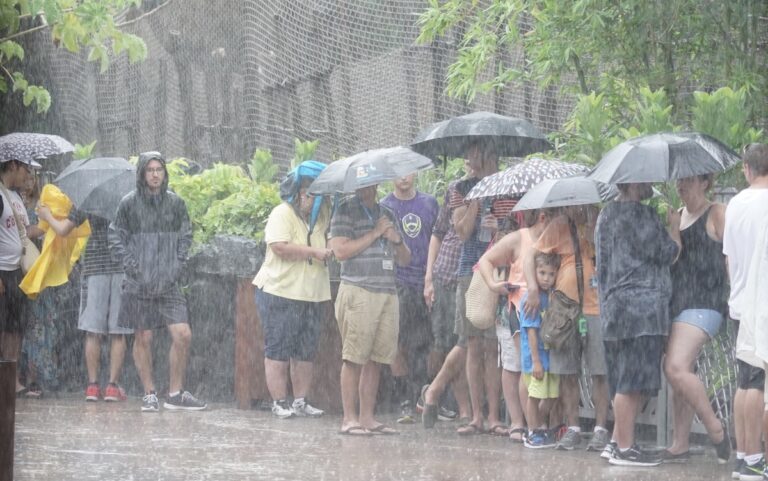 Tropical Storm Idalia – Theme Park Closures and Updates