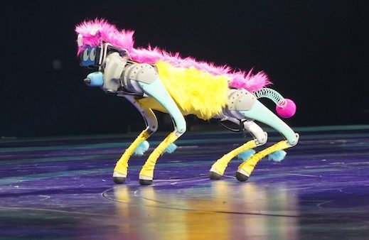 Robot dog in the Ringling circus show.