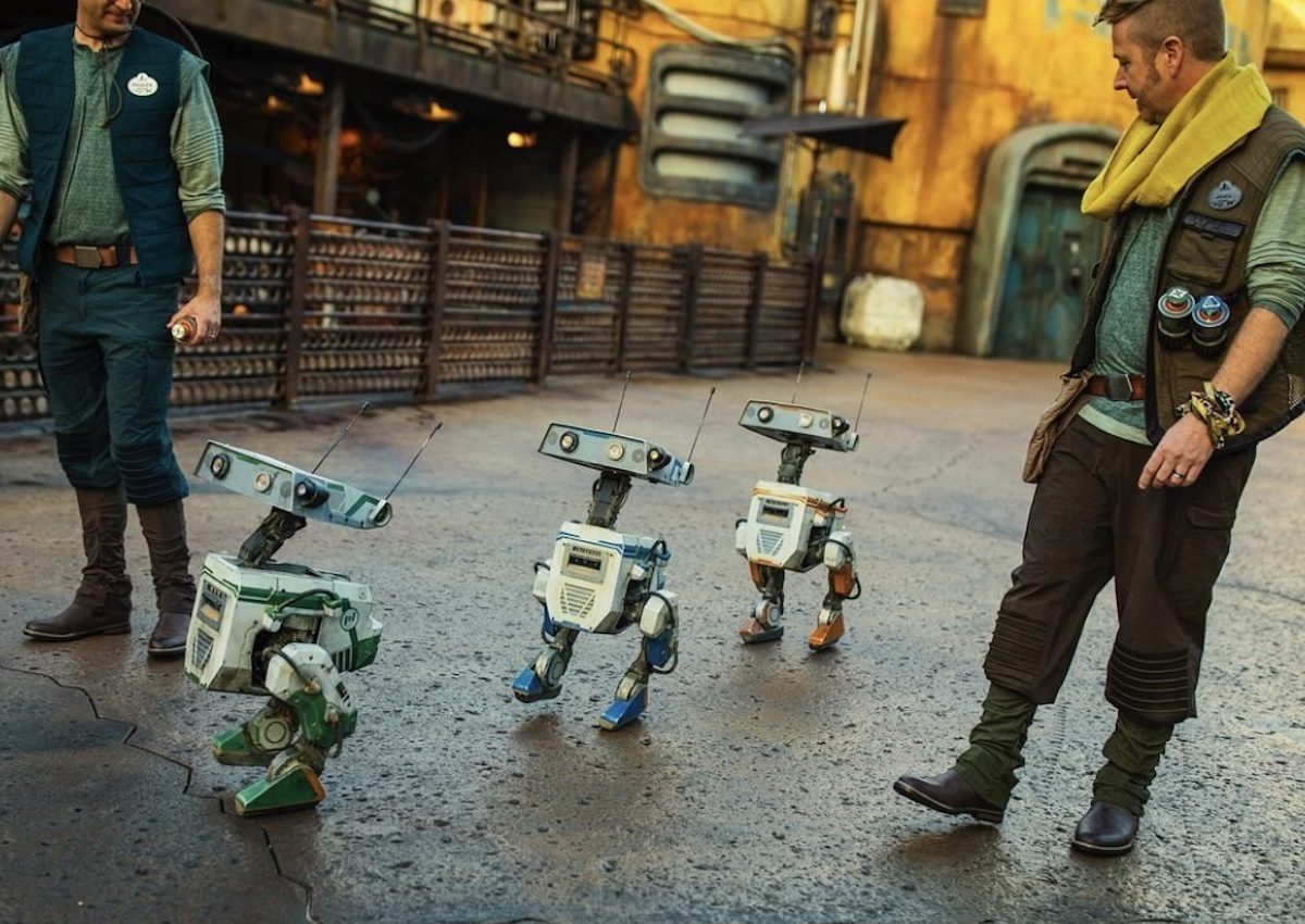 Droids in training at Disneyland