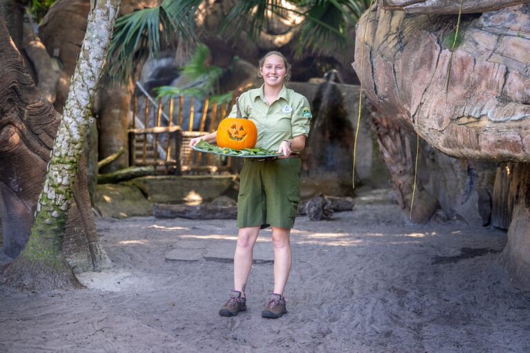 Animal Kingdom hosts a pumpkin party for National Pumpkin Day