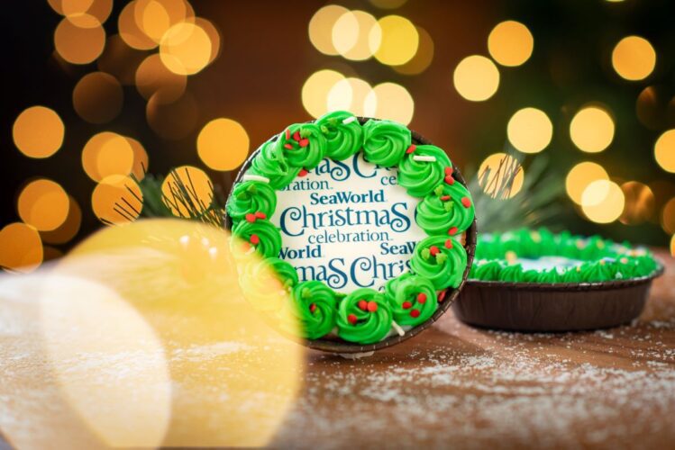 SeaWorld Orlando Christmas Celebration