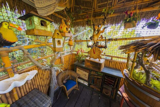 Adventureland Treehouse brothers' room