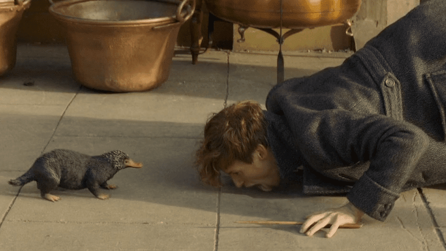 Newt licking the ground in Fantastic Beasts: The Crimes of Grindelwald