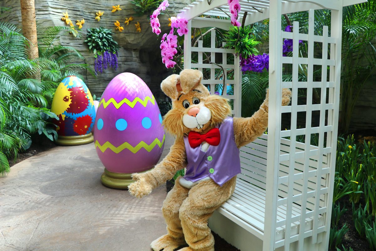Easter Bunny at Gaylord Palms Resort & Convention Center