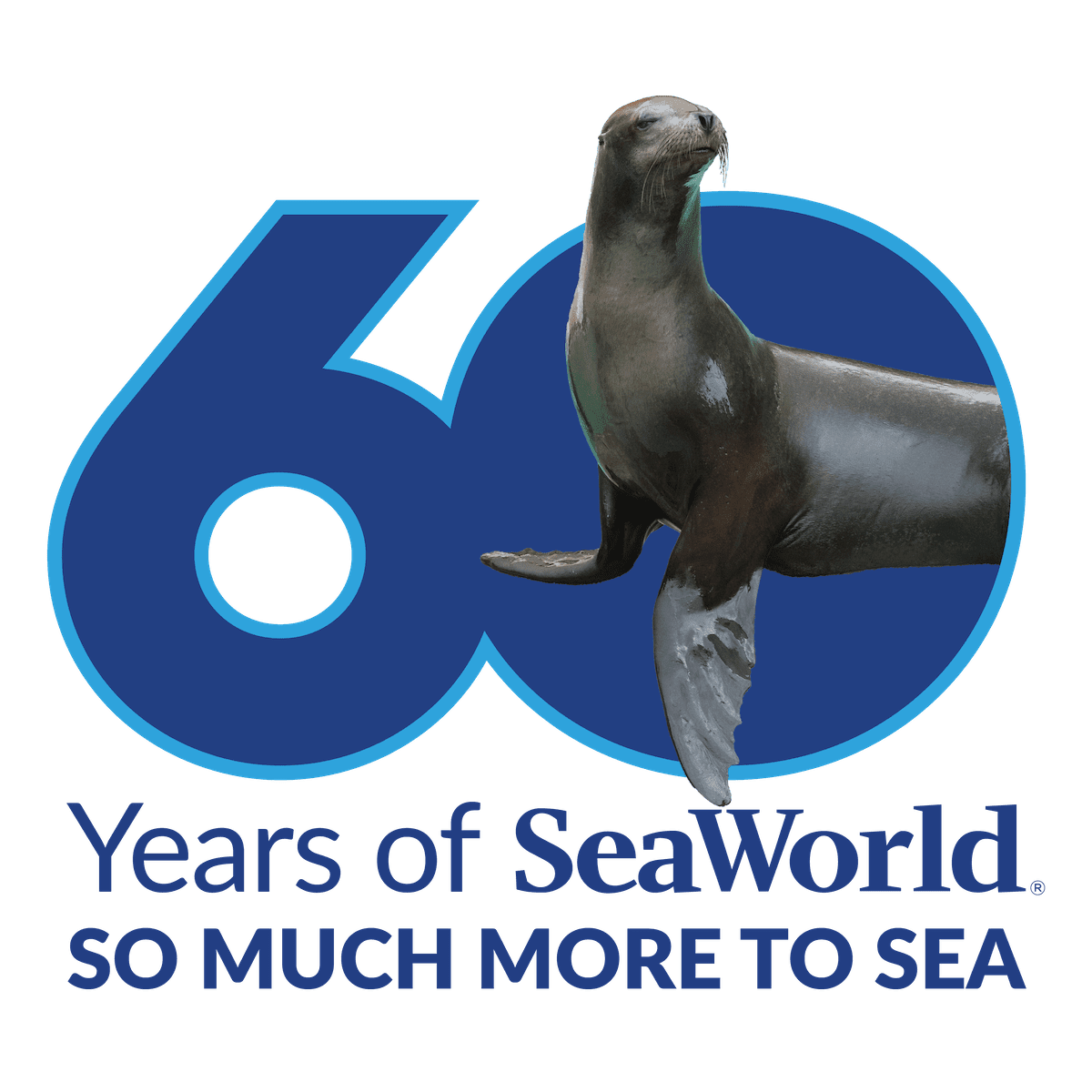 SeaWorld 60th anniversary sea lion