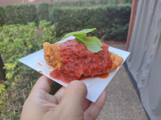 Chicken Empanada