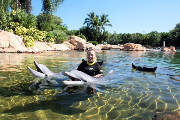 Dolphins at Discovery Cove