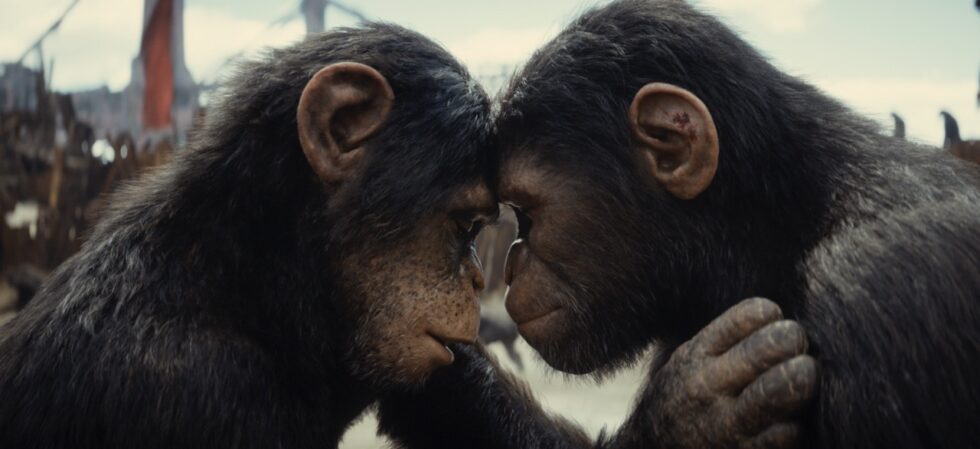 Kingdom of the Planet of the Apes