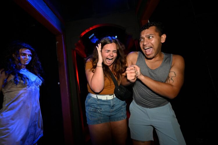 Halloween Horror Nights 2024 Insidious