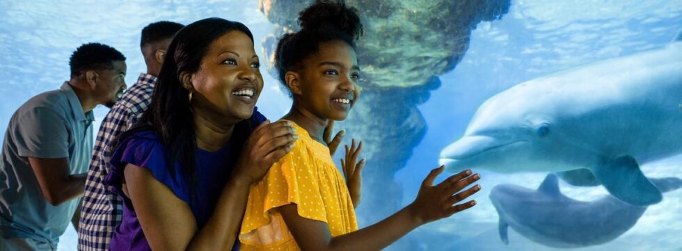 SeaWorld Orlando.